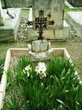 image of grave number 411995